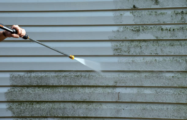 Professional Pressure Washing Services in Millsboro, DE